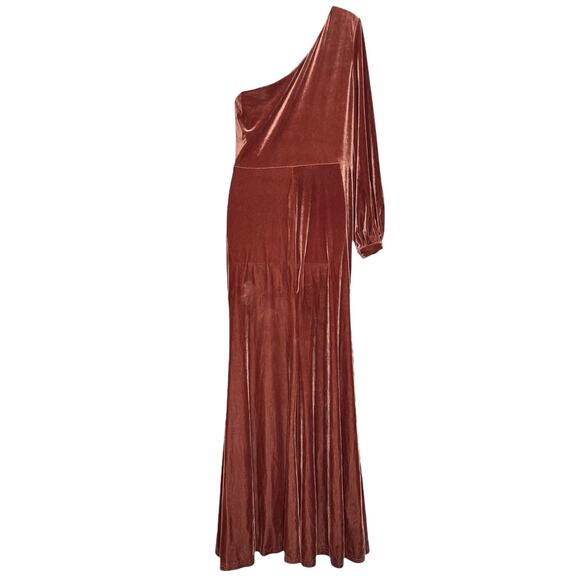 Revelry Dress Velvet One Shoulder Whimsigoth Dark Romance Luxe Glam Maxi Size 14 - Picture 6 of 6